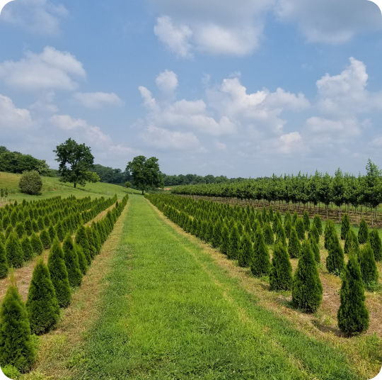 Hidden Valley Nursery landscape