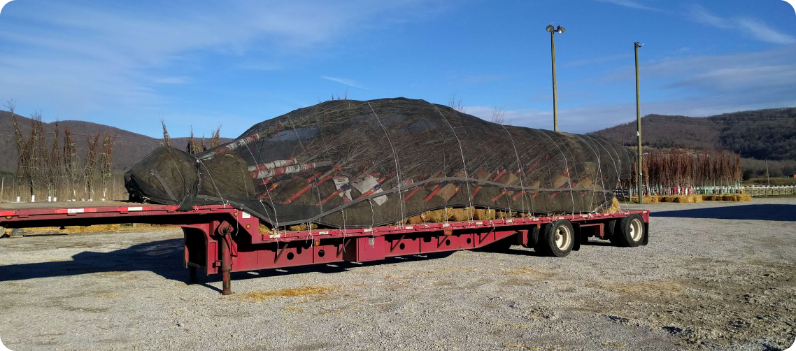 Map showing shipping routes from Hidden Valley Nursery
